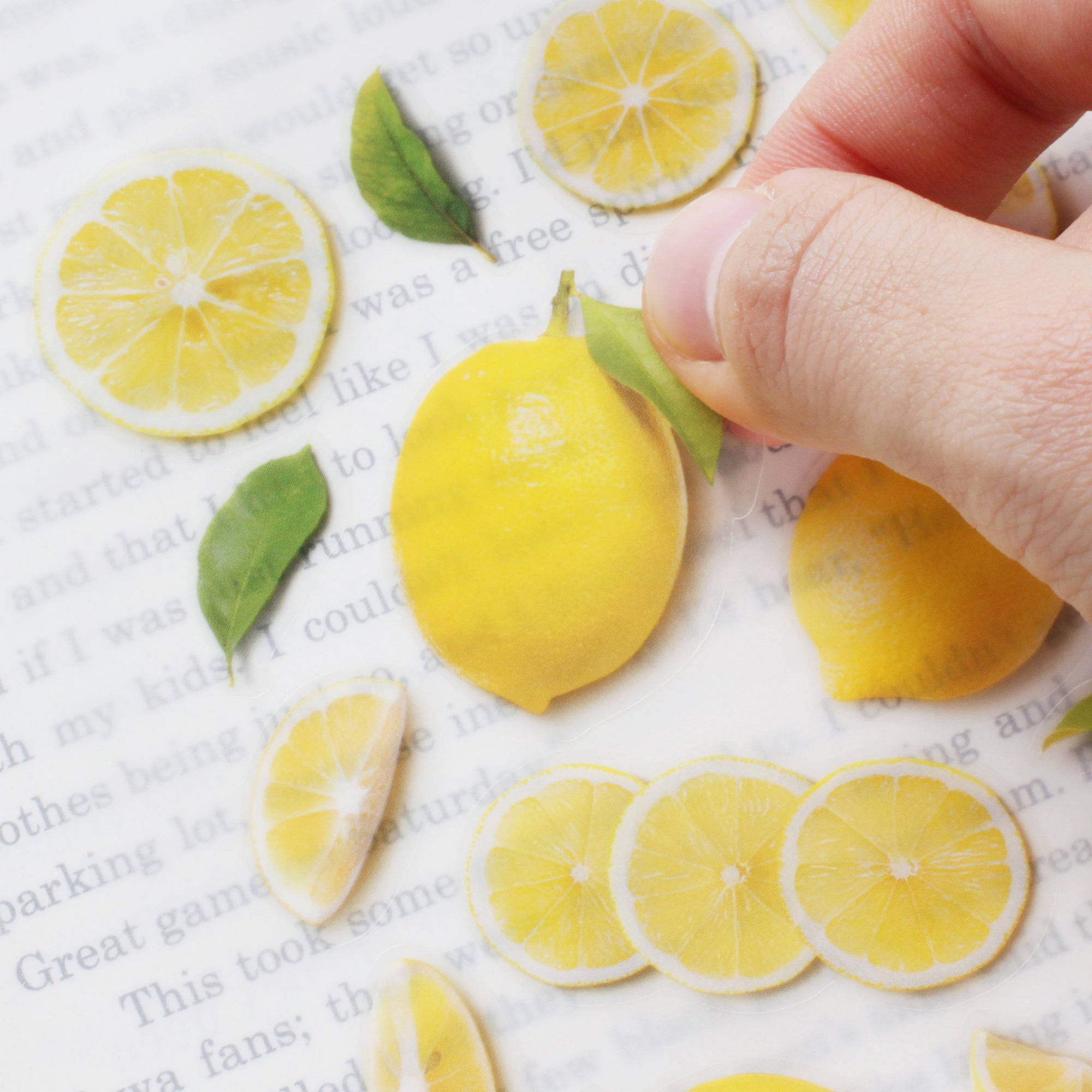 Appree - Fruit Sticker - Lemon-Sticker-DutchMills
