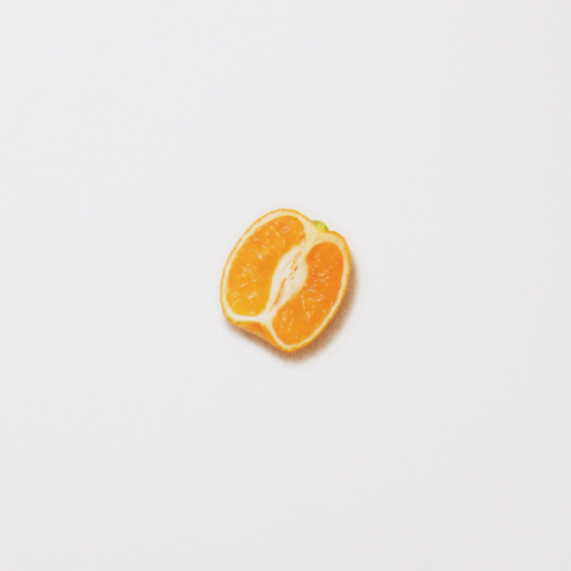Appree - Fruit Sticker - Mandarin-Sticker-DutchMills