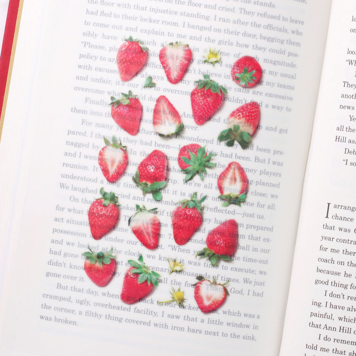 Appree - Fruit Sticker - Strawberry-Sticker-DutchMills