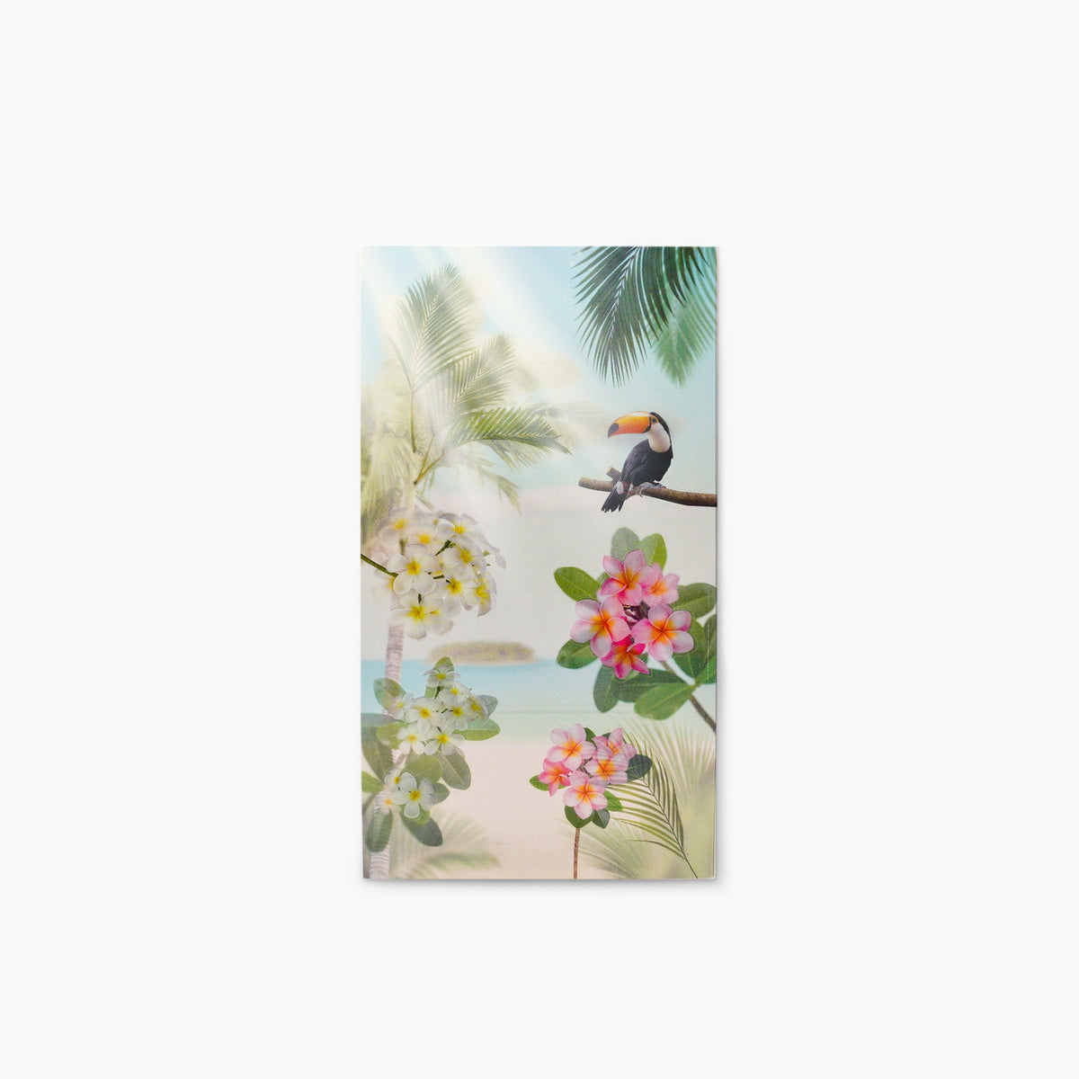 Appree - Nature Scene Sticker - Tropical Day-Sticker-DutchMills