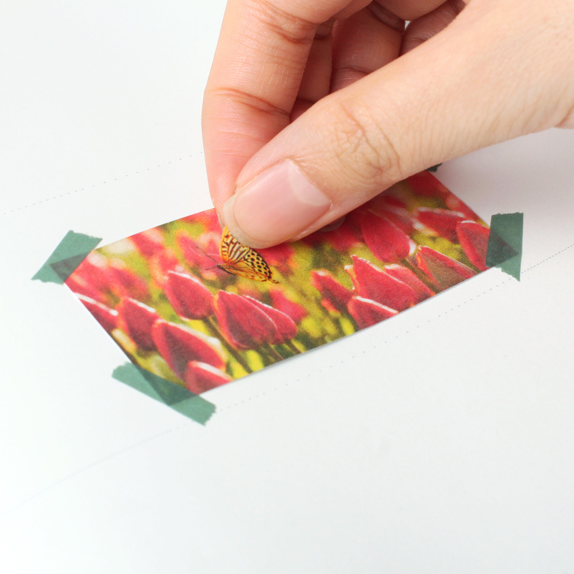 Appree - Nature Sticker - Butterfly-Sticker-DutchMills