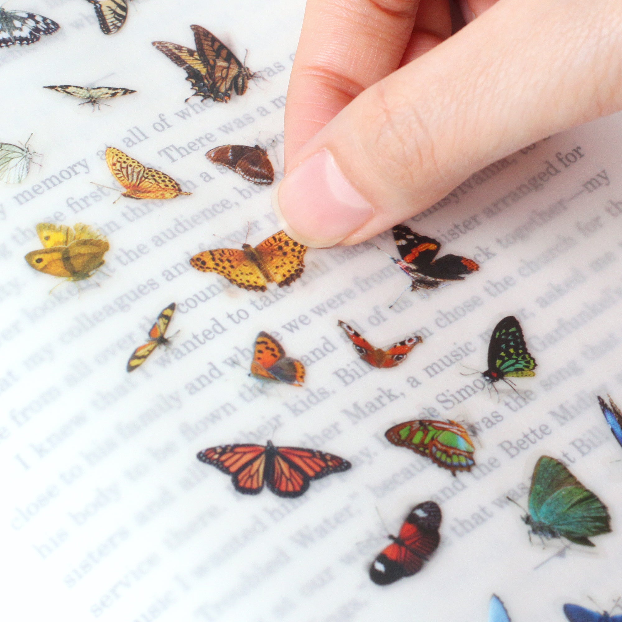 Appree - Nature Sticker - Butterfly-Sticker-DutchMills