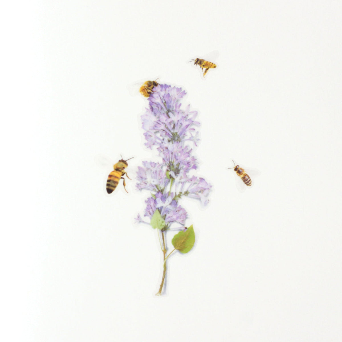 Appree - Nature Sticker - Honeybee-Sticker-DutchMills