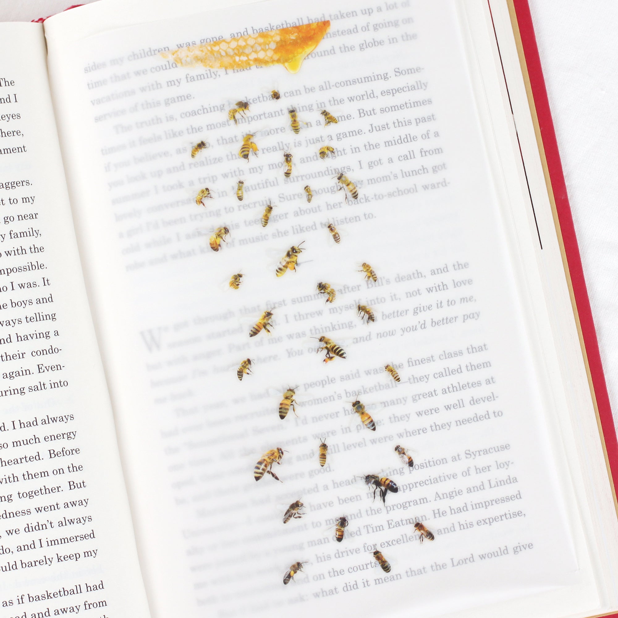 Appree - Nature Sticker - Honeybee-Sticker-DutchMills