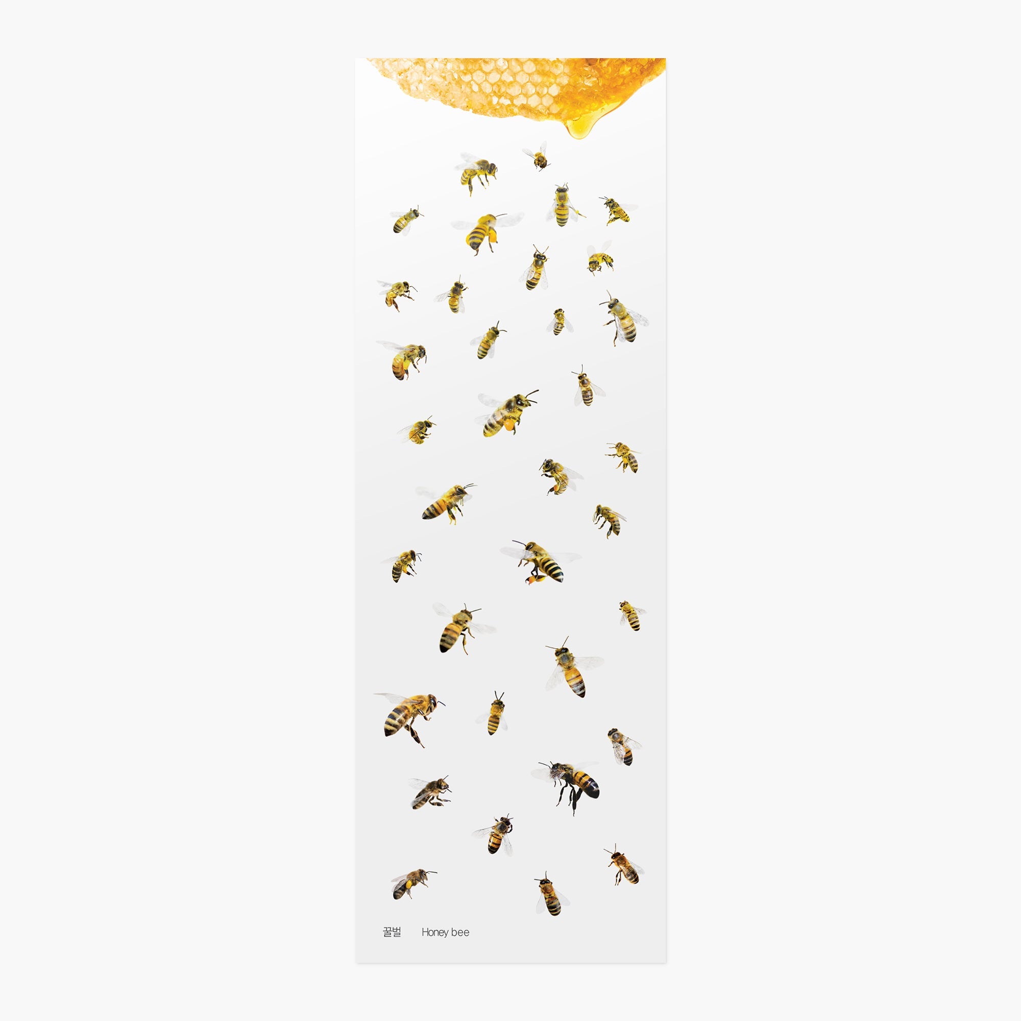 Appree - Nature Sticker - Honeybee-Sticker-DutchMills
