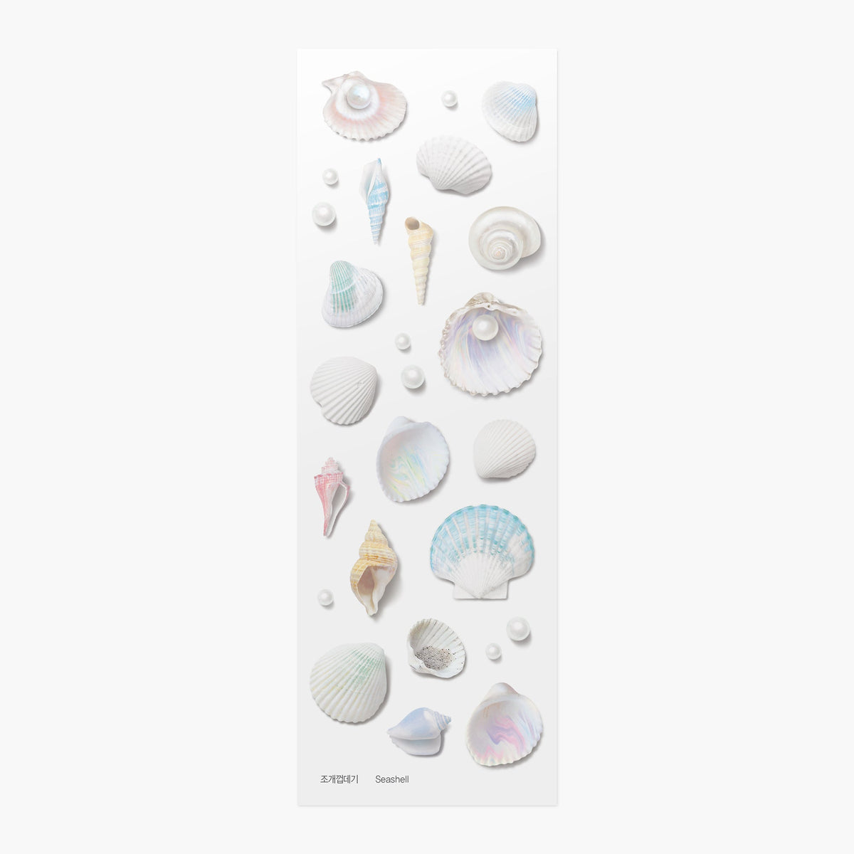 Appree - Nature Sticker - Seashell-Sticker-DutchMills
