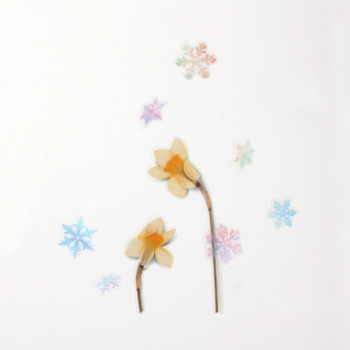 Appree - Nature Sticker - Snow-Sticker-DutchMills