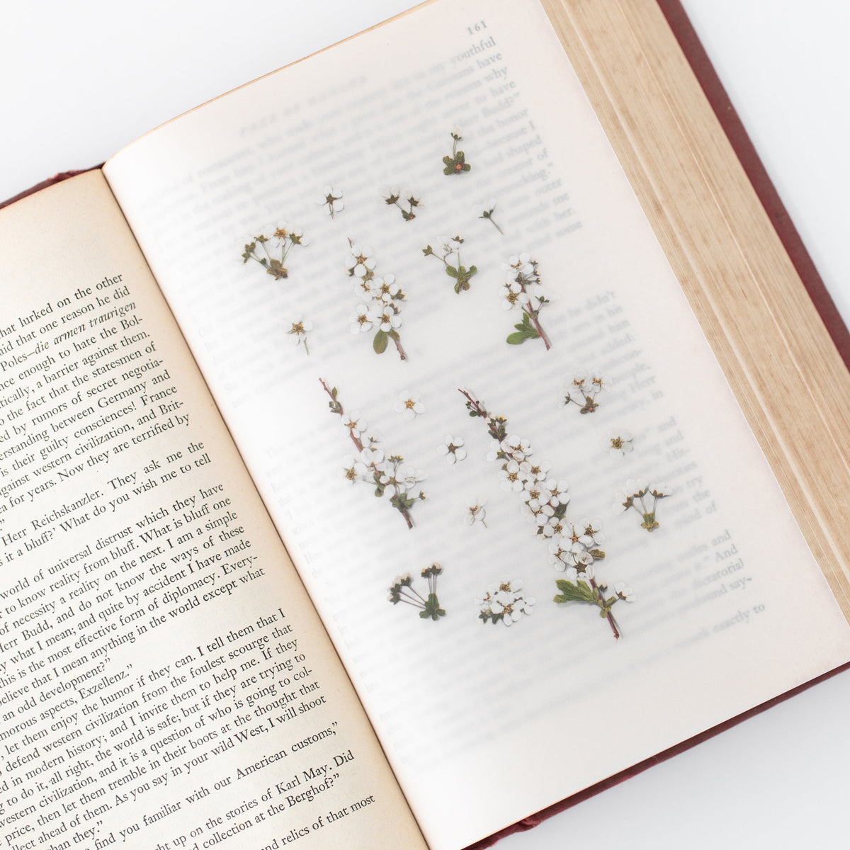 Appree - Pressed Flower Sticker - Bridal Wreath-Sticker-DutchMills