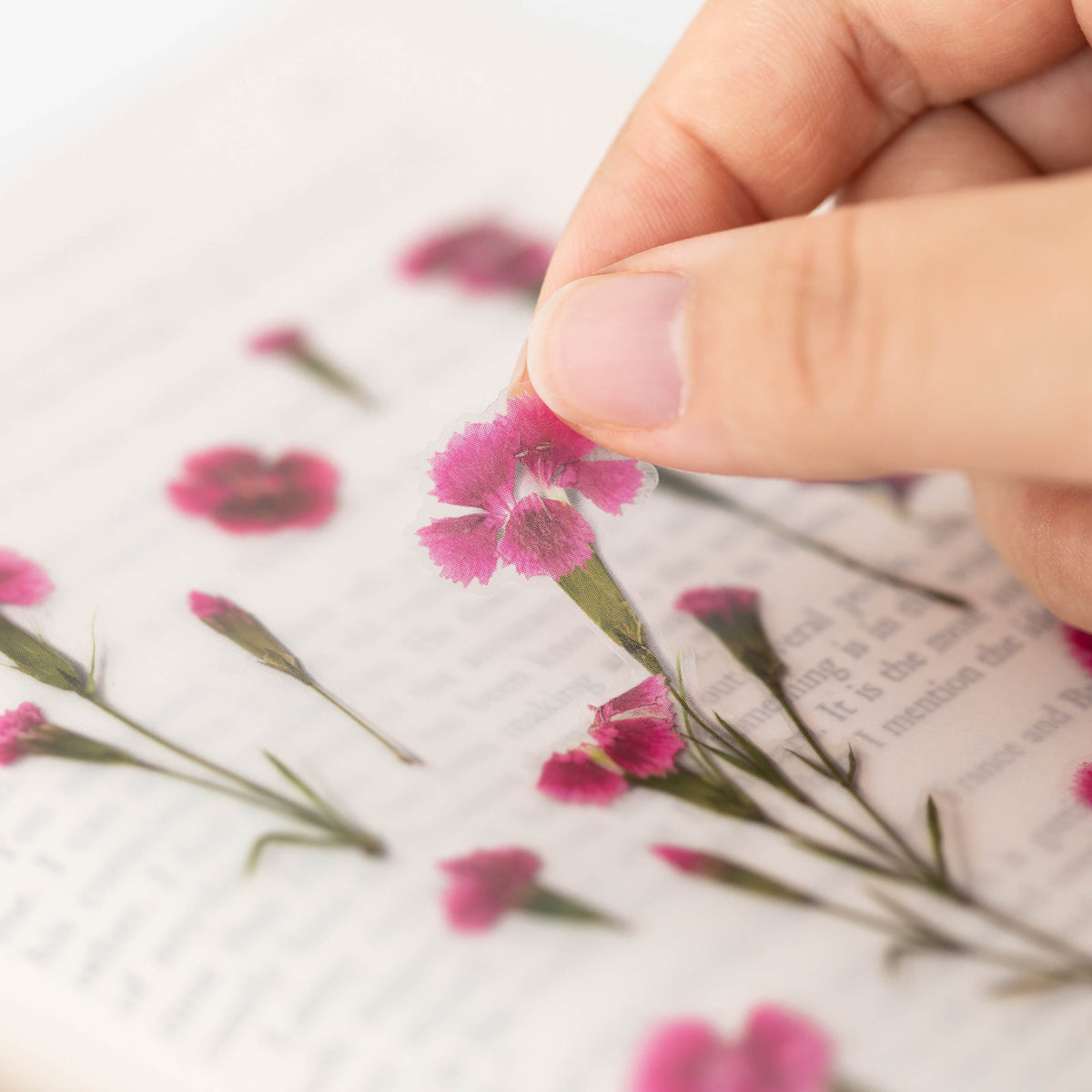 Appree - Pressed Flower Sticker - China Pink-Sticker-DutchMills