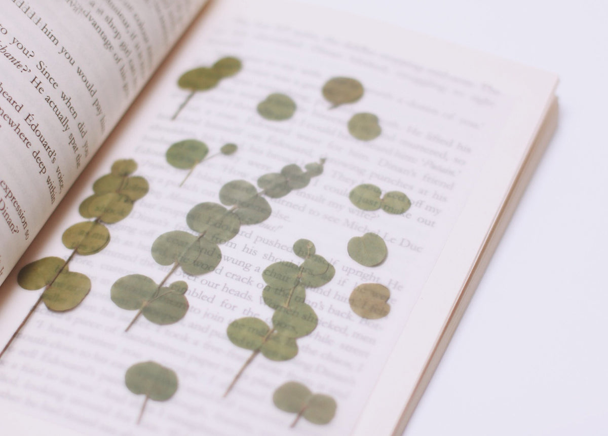 Appree - Pressed Flower Sticker - Eucalyptus-Sticker-DutchMills