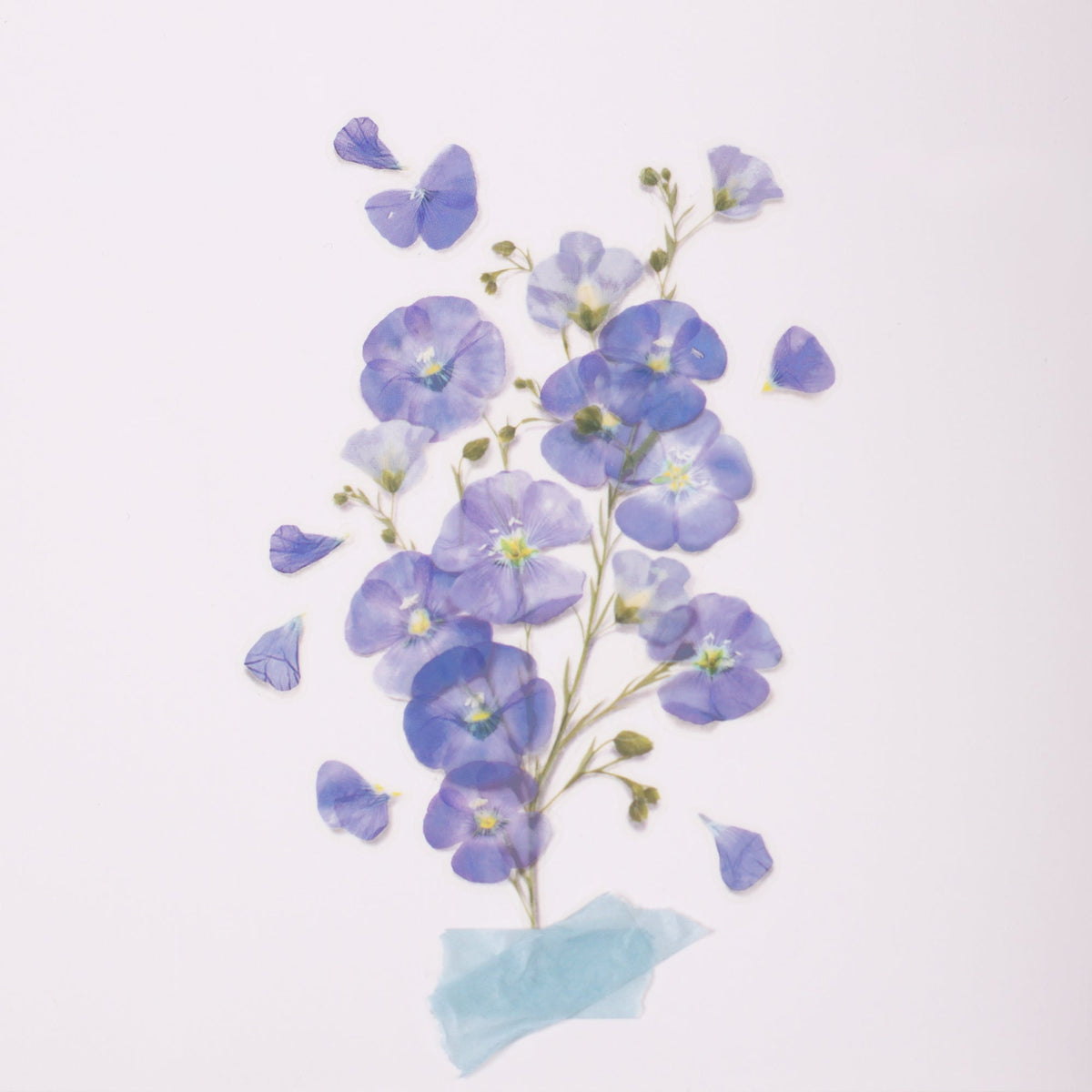 Appree - Pressed Flower Sticker - Flax-Sticker-DutchMills