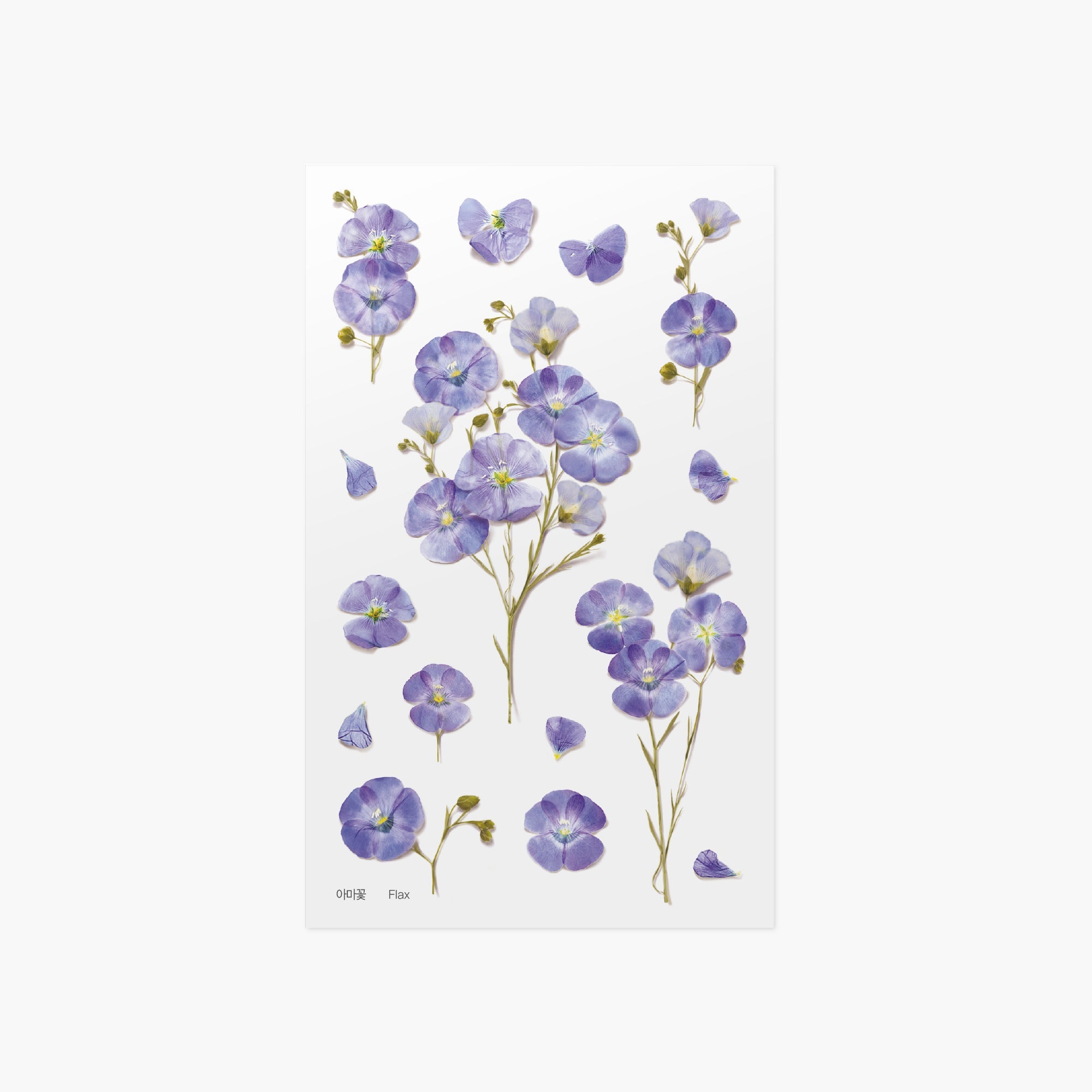 Appree - Pressed Flower Sticker - Flax-Sticker-DutchMills