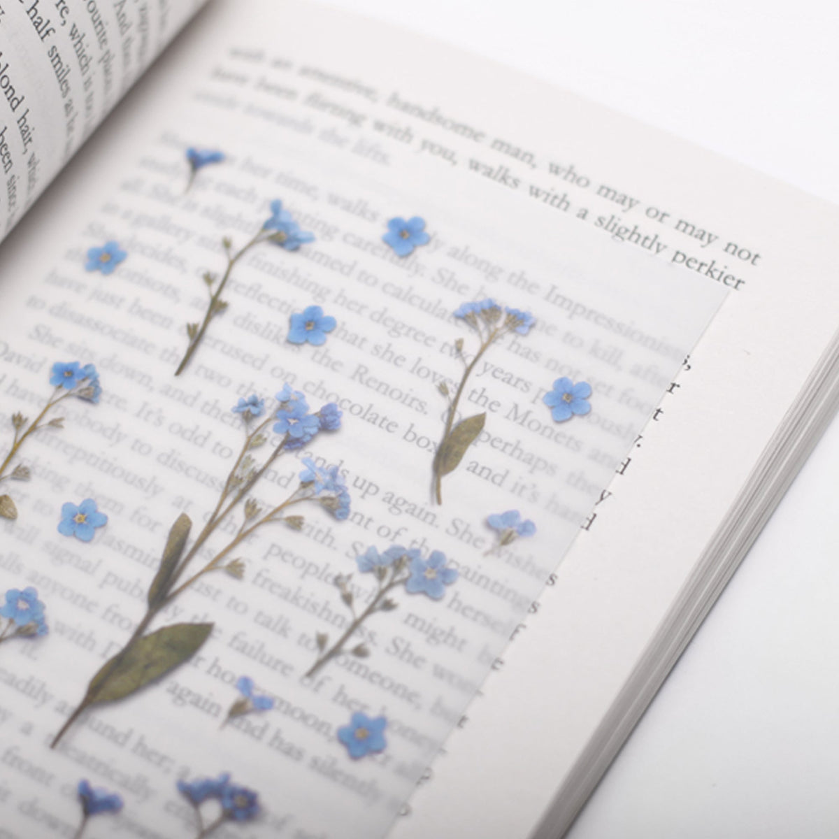 Appree - Pressed Flower Sticker - For Get Me Not-Sticker-DutchMills
