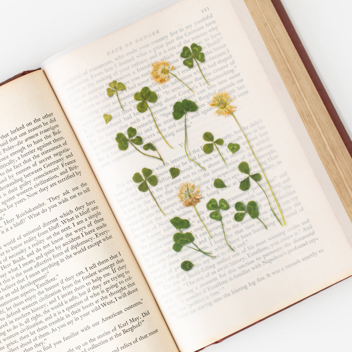 Appree - Pressed Flower Sticker - Four Leaf Clover-Sticker-DutchMills
