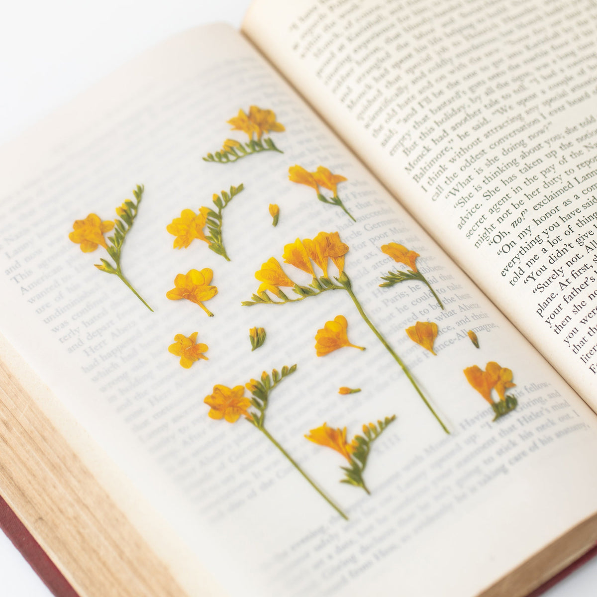 Appree - Pressed Flower Sticker - Freesia-Sticker-DutchMills