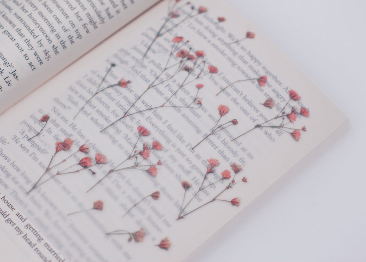 Appree - Pressed Flower Sticker - Gypsophila-Sticker-DutchMills