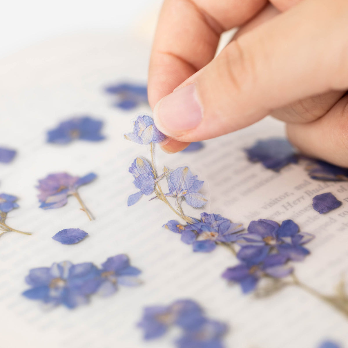 Appree - Pressed Flower Sticker - Larkspur-Sticker-DutchMills