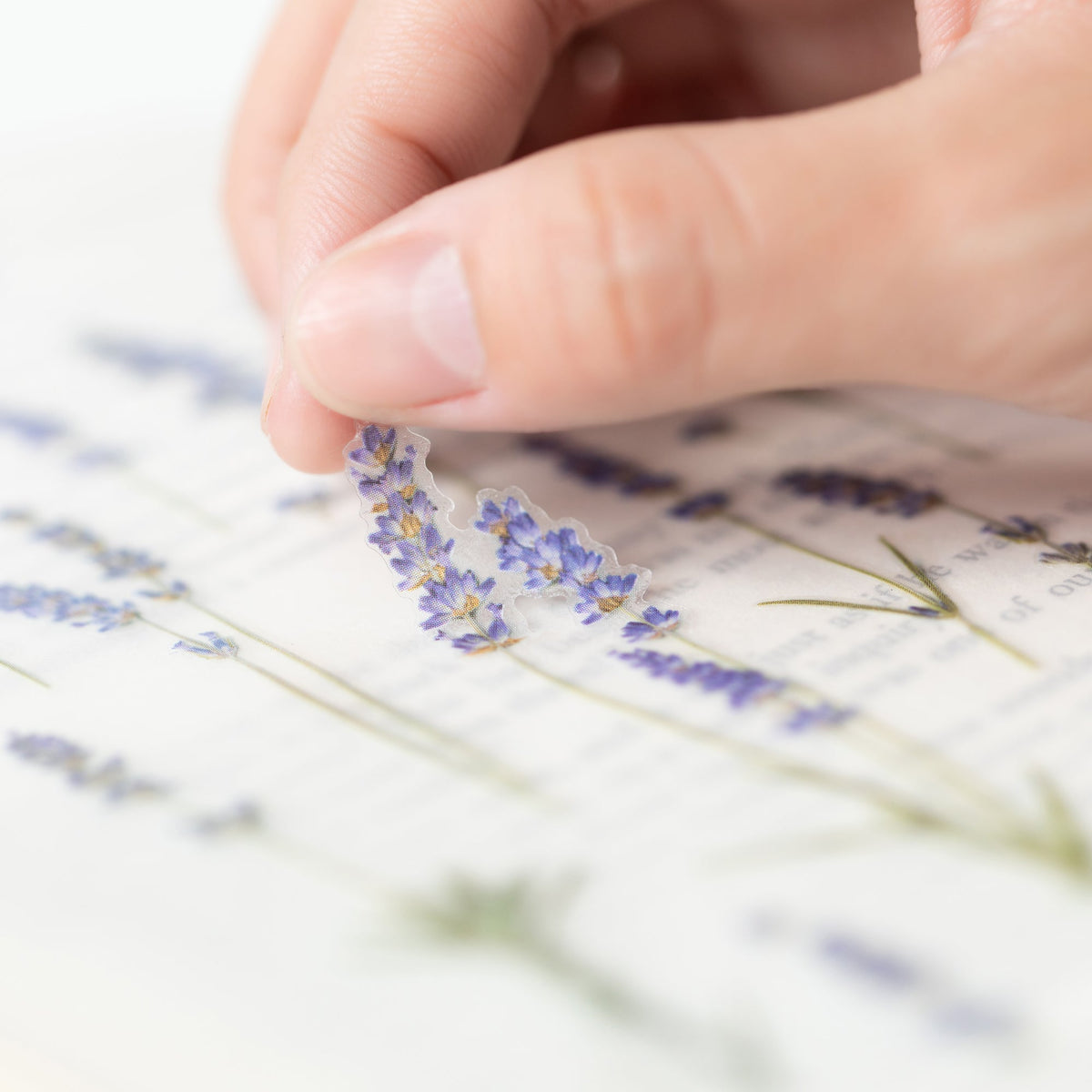 Appree - Pressed Flower Sticker - Lavender-Sticker-DutchMills