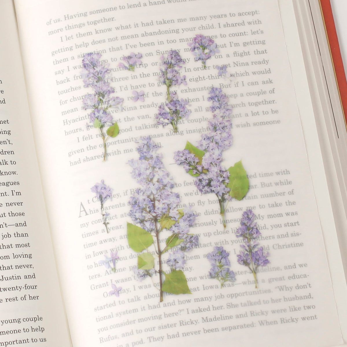 Appree - Pressed Flower Sticker - Lilac-Sticker-DutchMills