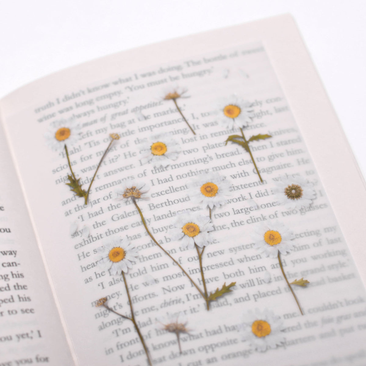 Appree - Pressed Flower Sticker - Marguerite-Sticker-DutchMills