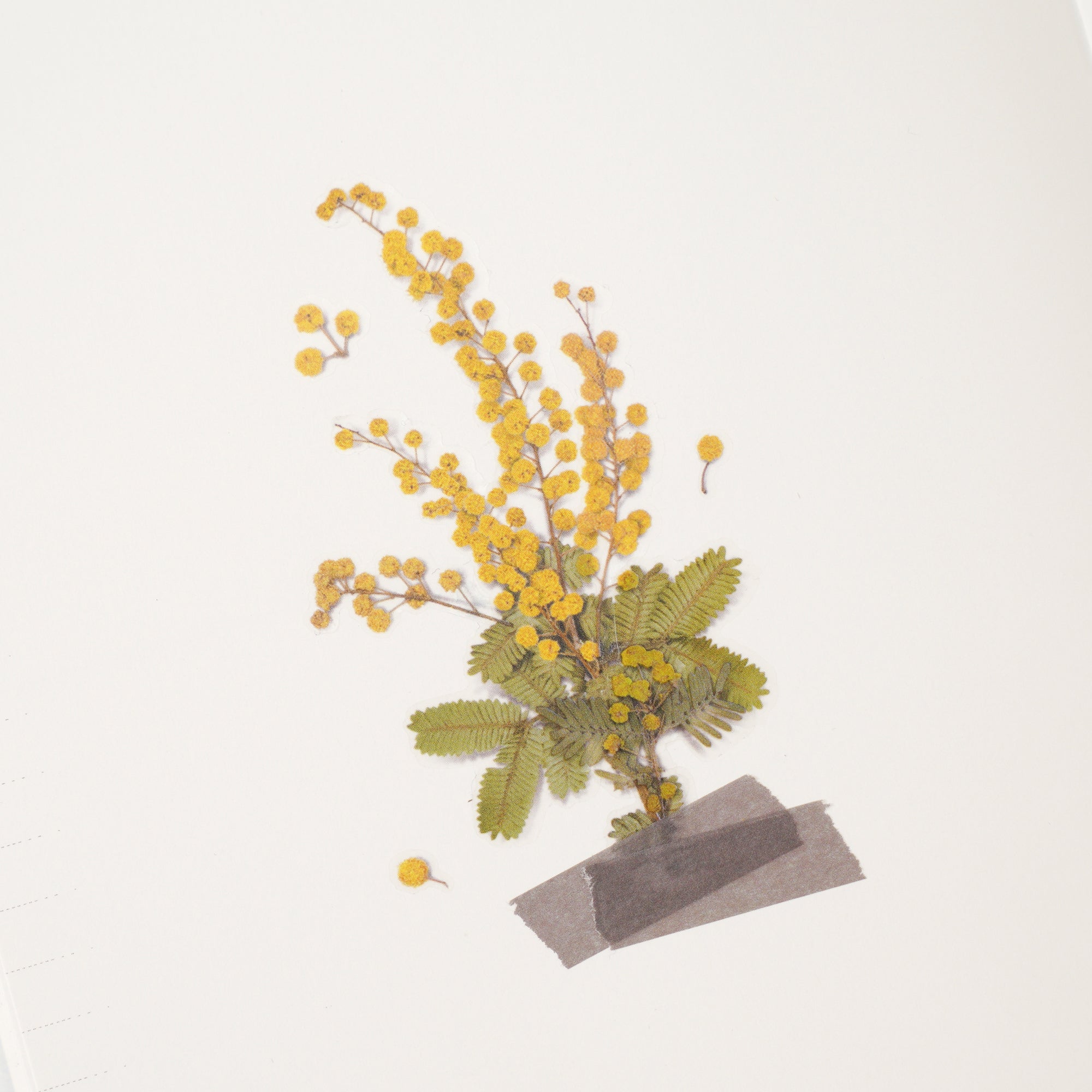 Appree - Pressed Flower Sticker - Mimosa-Sticker-DutchMills