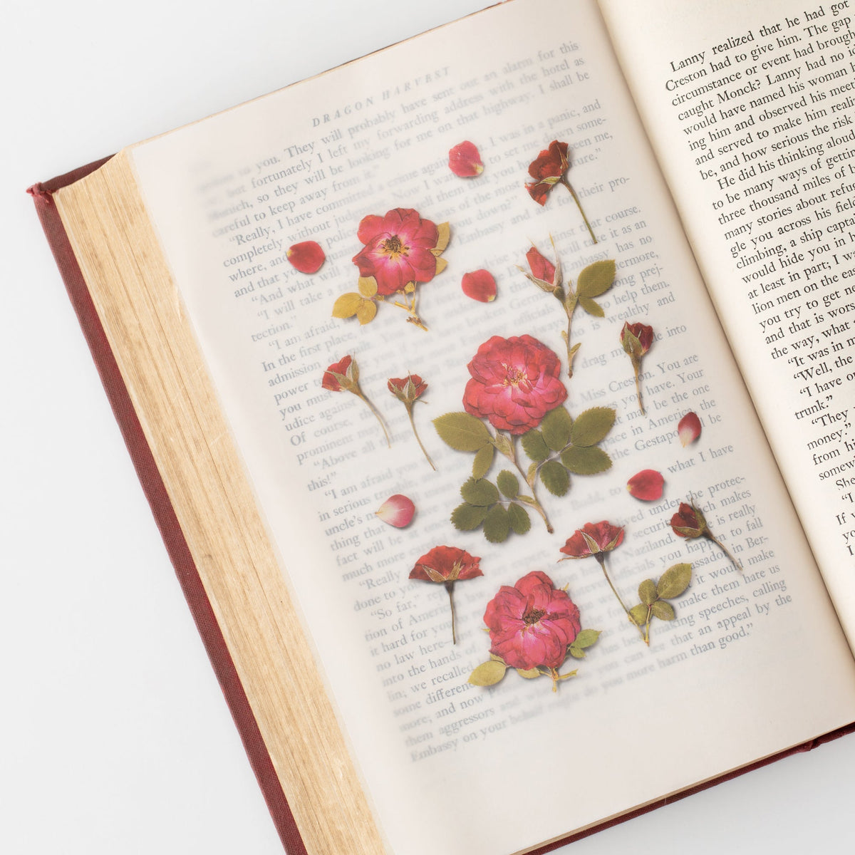 Appree - Pressed Flower Sticker - Mini Rose-Sticker-DutchMills