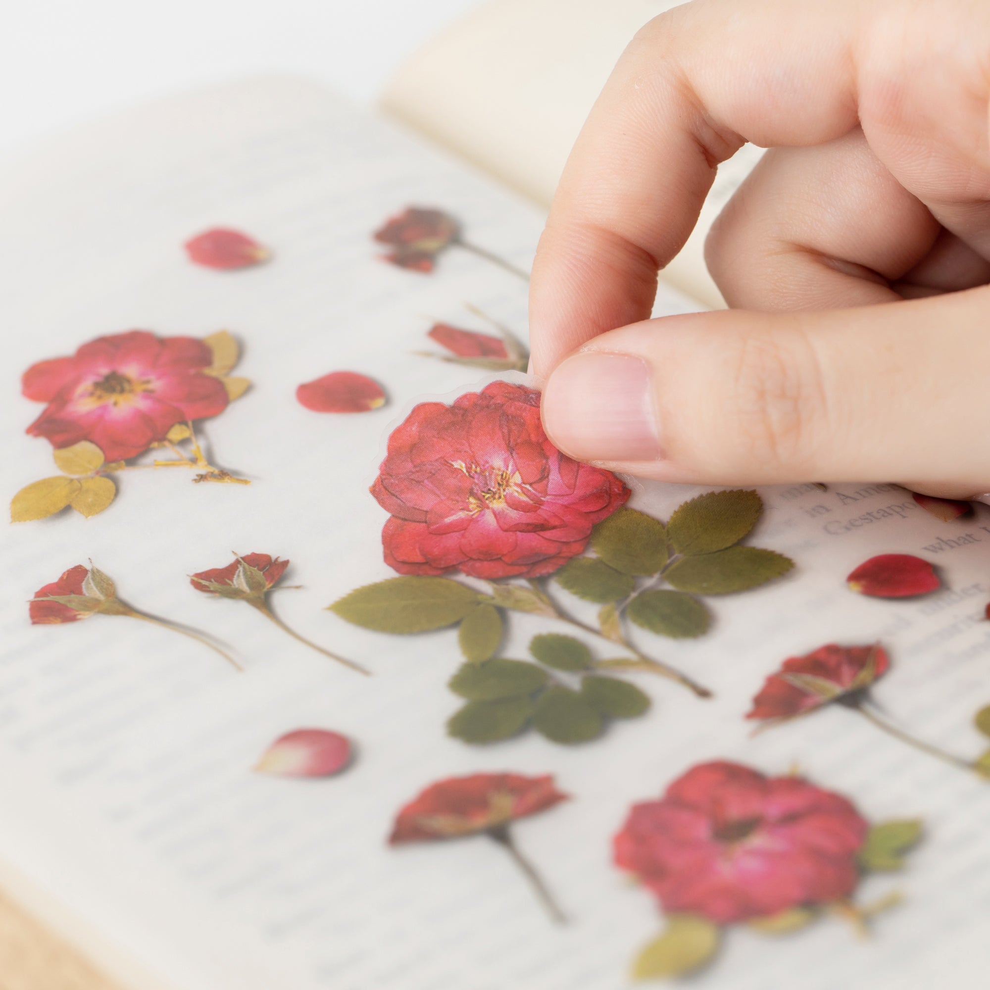 Appree - Pressed Flower Sticker - Mini Rose-Sticker-DutchMills