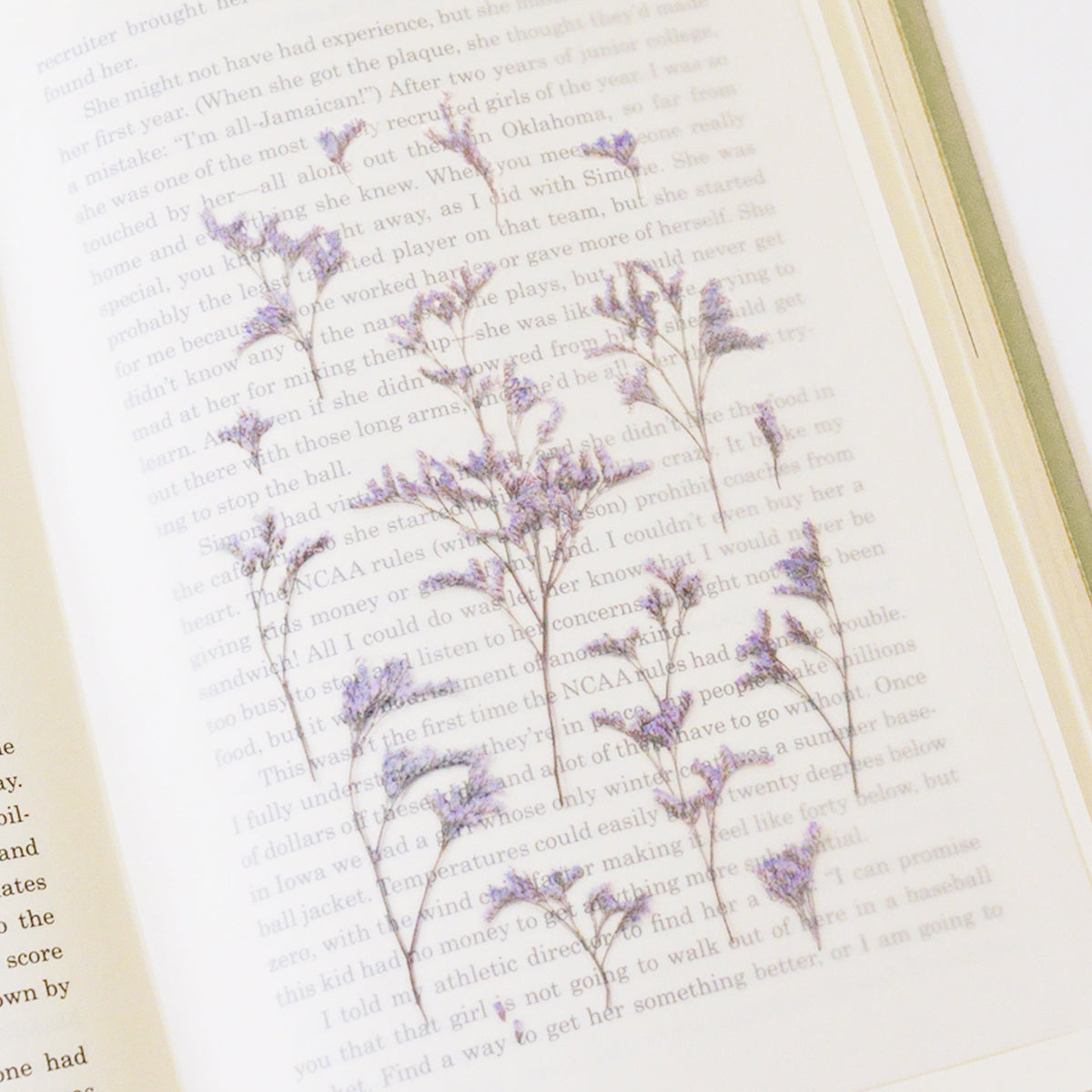 Appree - Pressed Flower Sticker - Misty Blue-Sticker-DutchMills