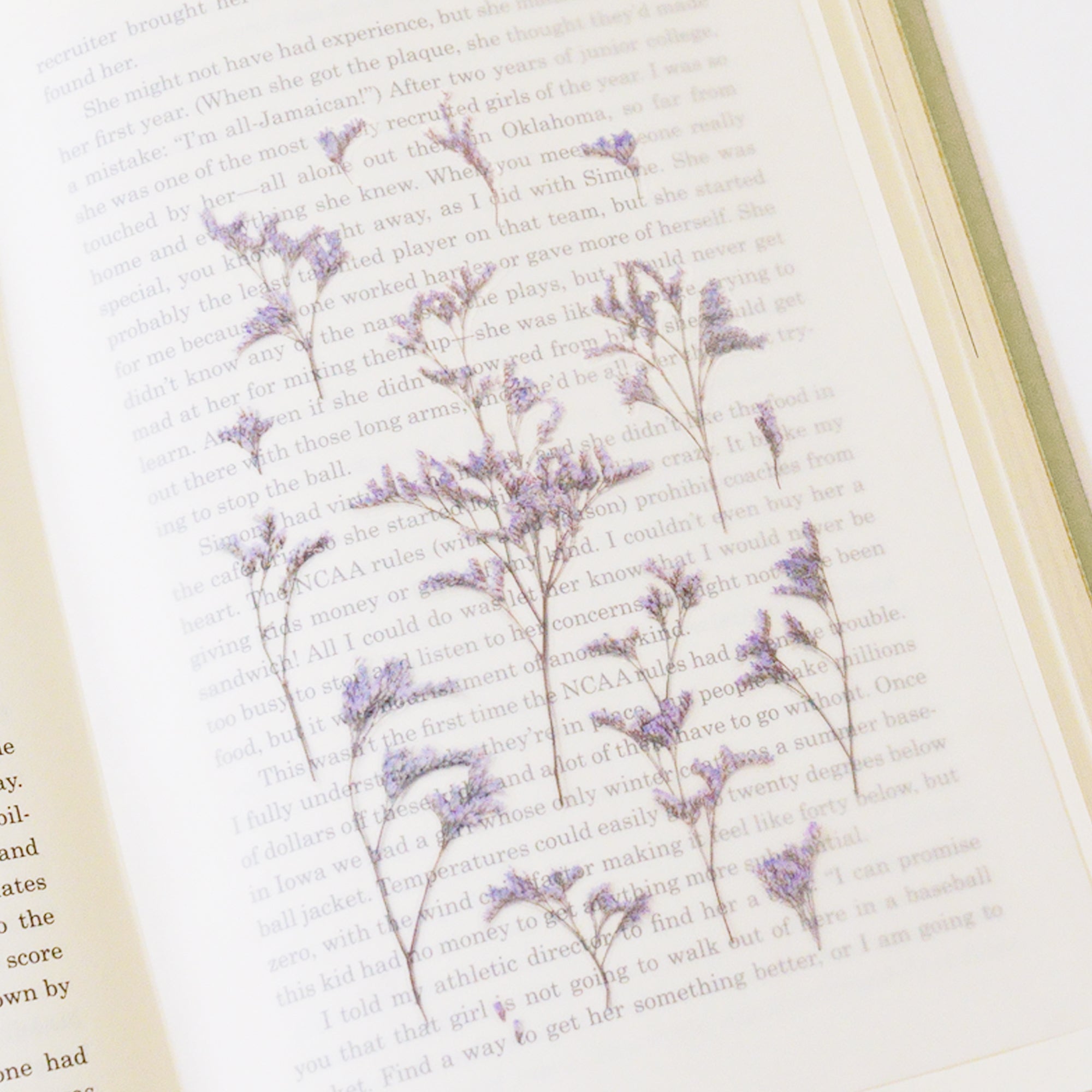 Appree - Pressed Flower Sticker - Misty Blue-Sticker-DutchMills