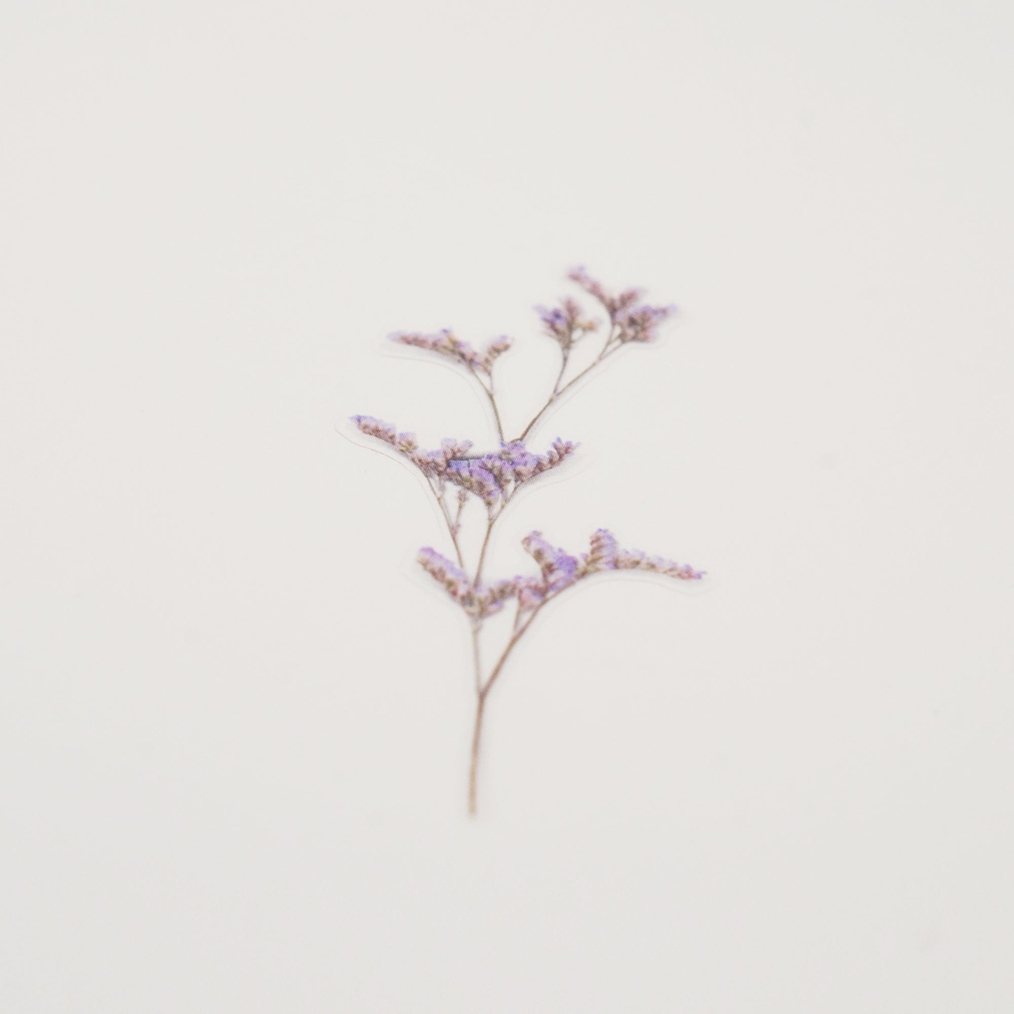 Appree - Pressed Flower Sticker - Misty Blue-Sticker-DutchMills