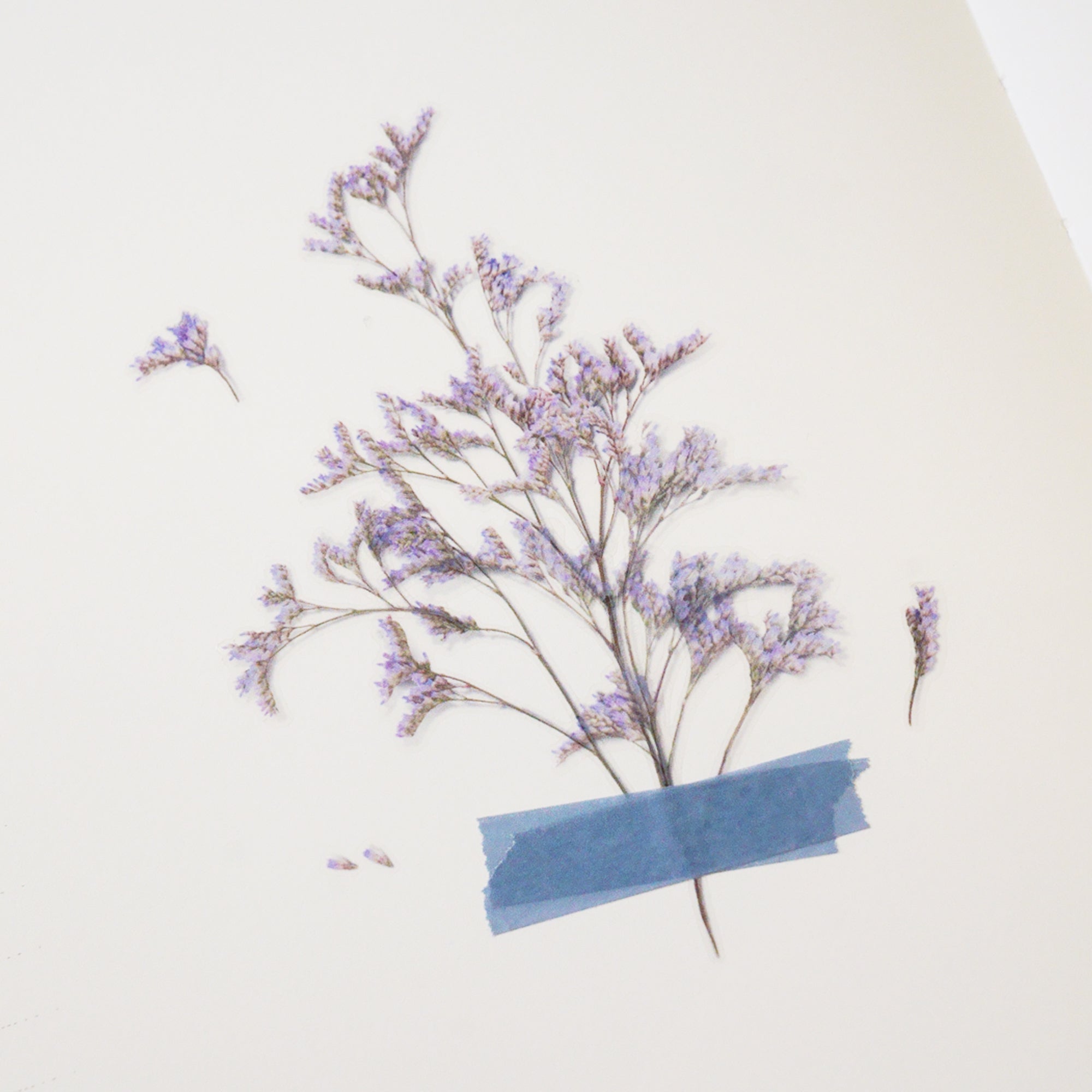 Appree - Pressed Flower Sticker - Misty Blue-Sticker-DutchMills