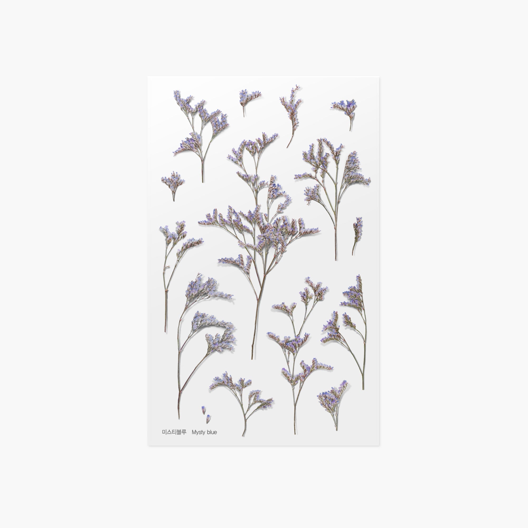 Appree - Pressed Flower Sticker - Misty Blue-Sticker-DutchMills