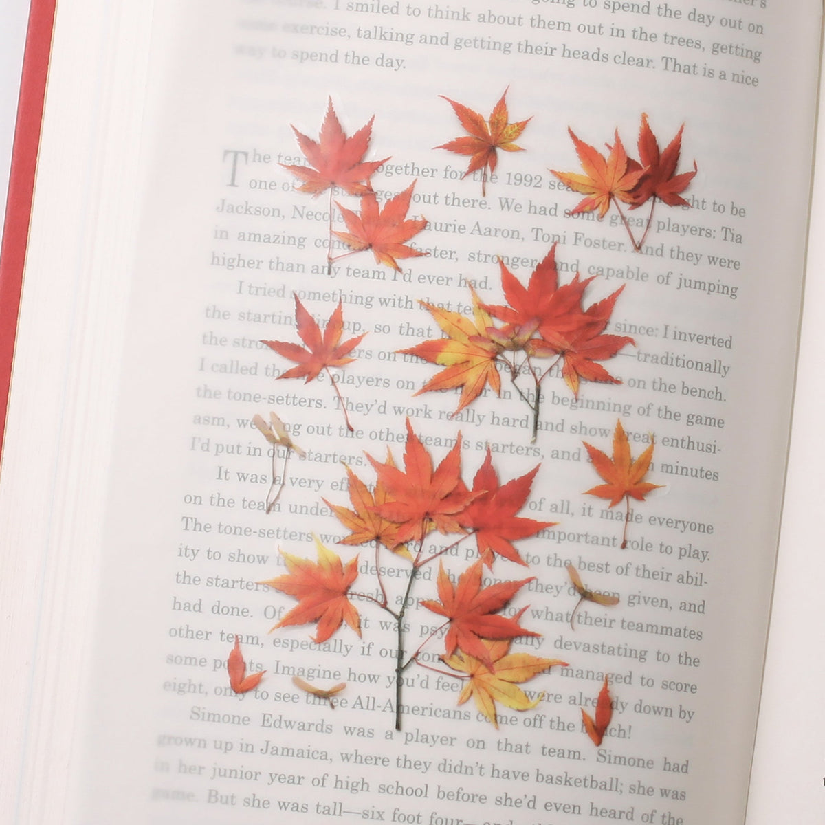 Appree - Pressed Flower Sticker - Palmate Maple-Sticker-DutchMills