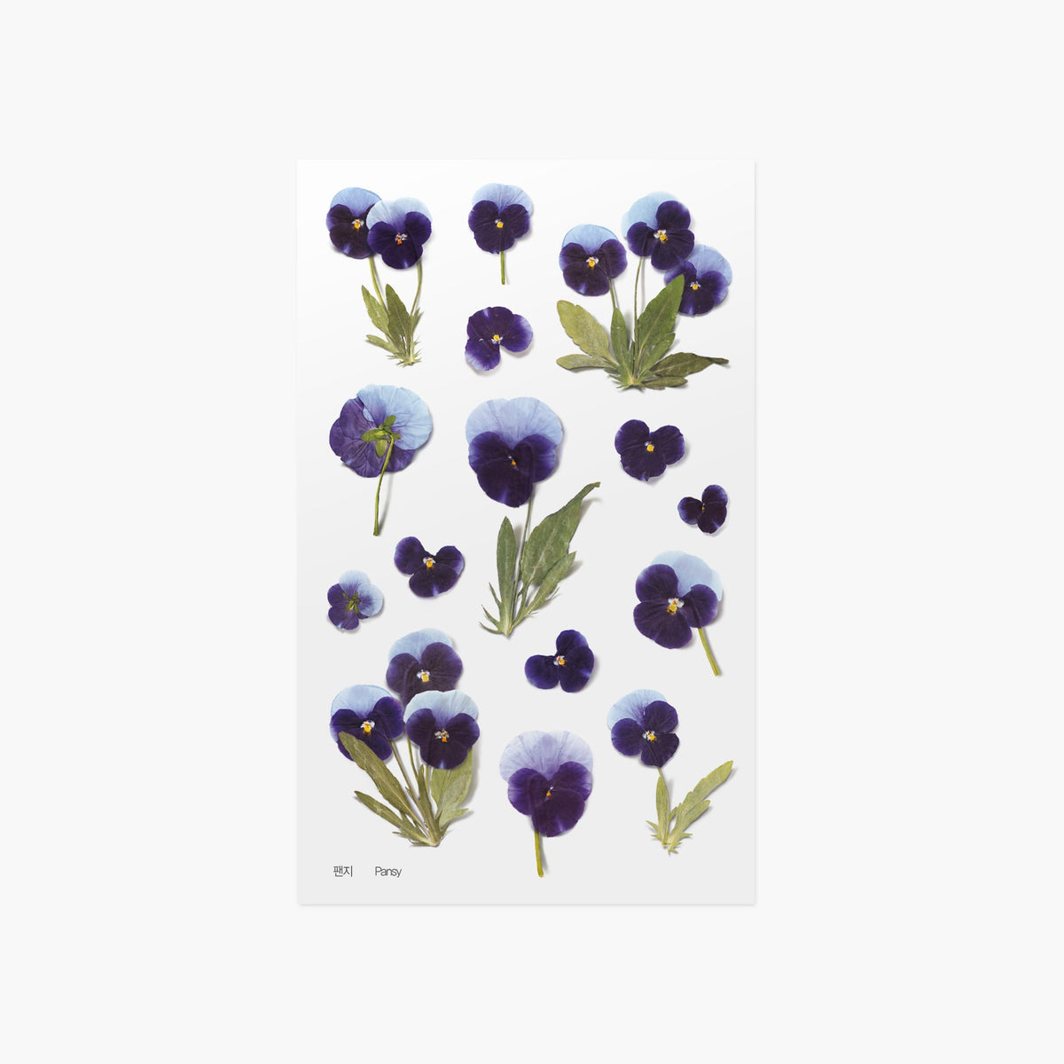 Appree - Pressed Flower Sticker - Pansy-Sticker-DutchMills