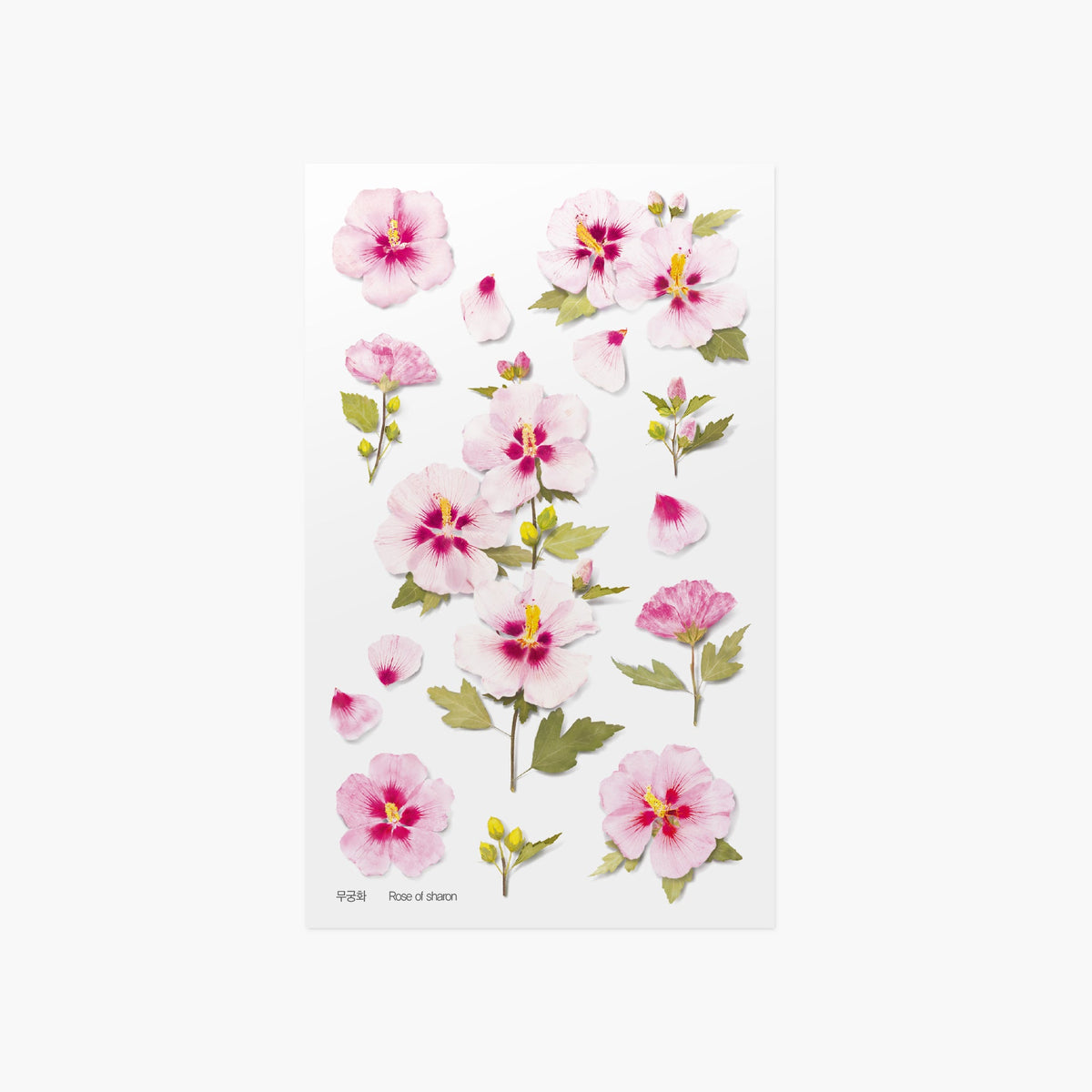 Appree - Pressed Flower Sticker - Rose Of Sharon-Sticker-DutchMills