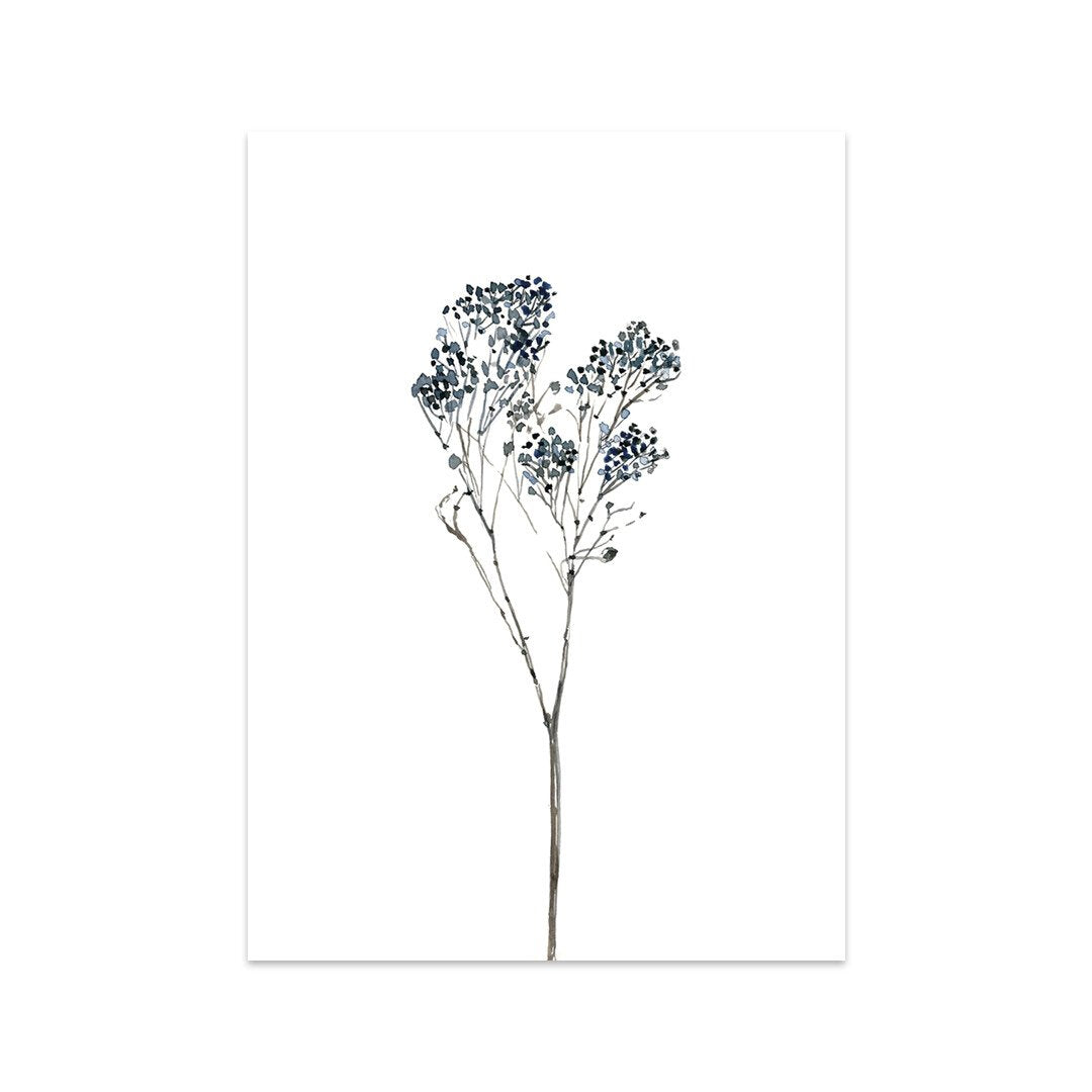Caroline Vieira - Broom Bloom-Kaart-DutchMills