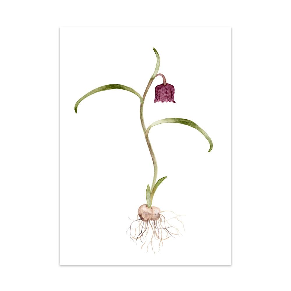 Caroline Vieira - Kievietsbloem-Kaart-DutchMills