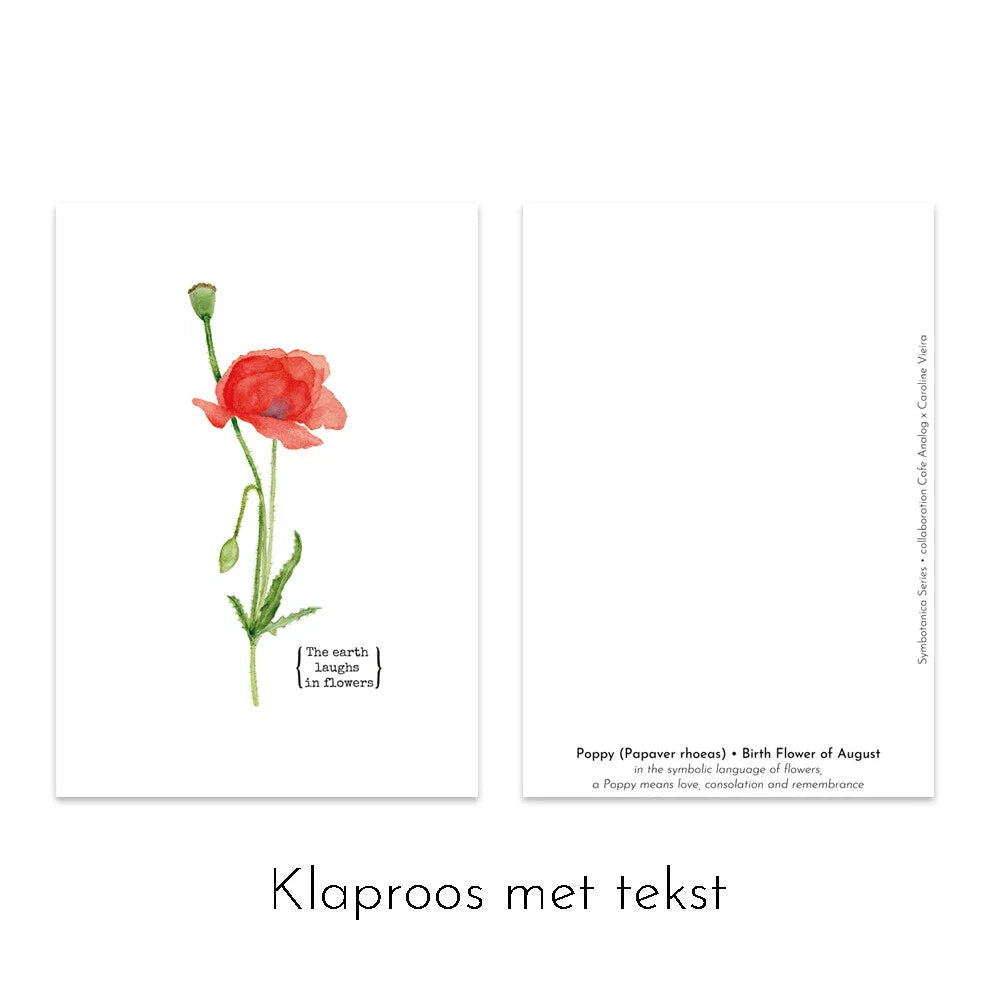 Caroline Vieira - Klaproos/Poppy kaart met tekst-Kaart-DutchMills