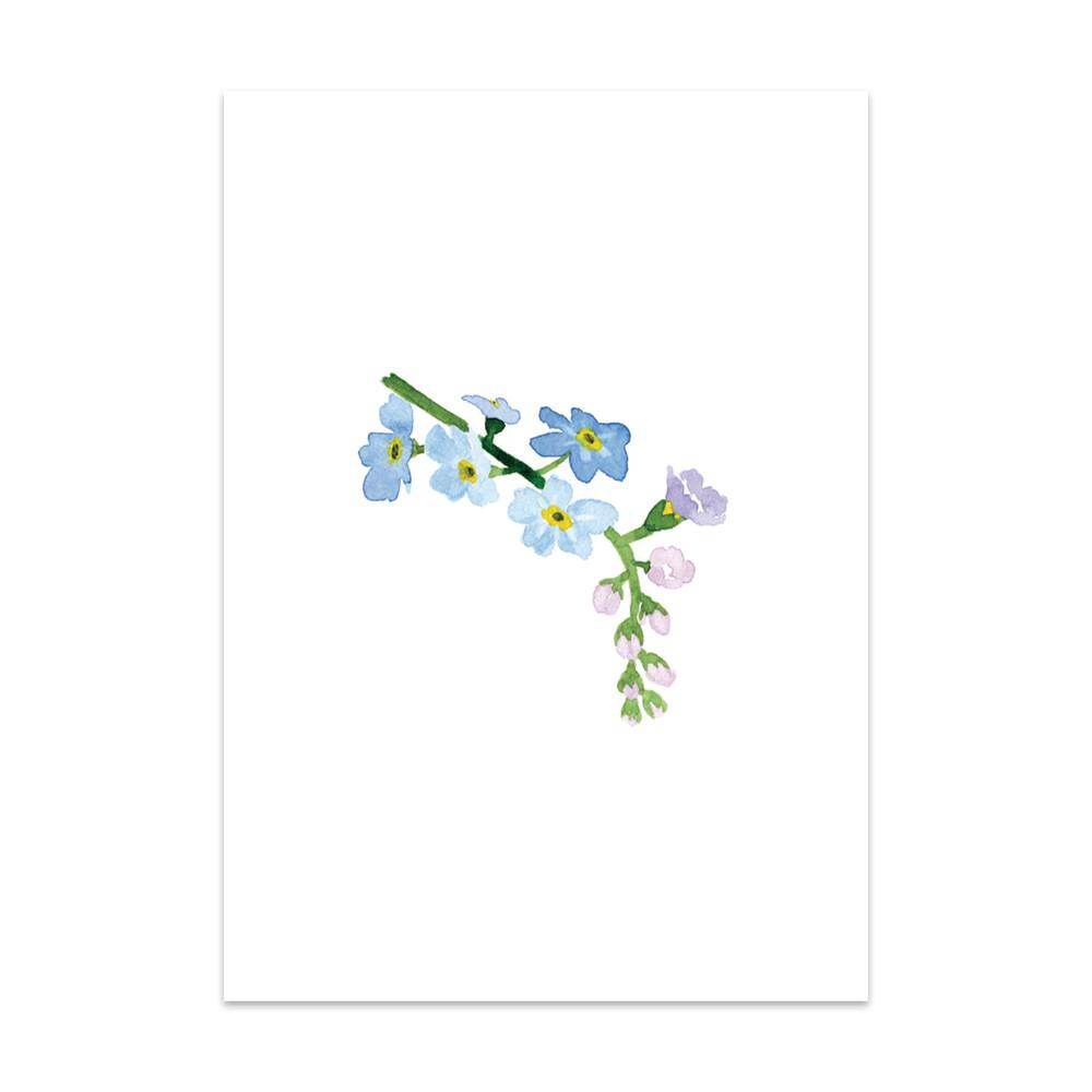 Caroline Vieira - Moeras vergeet-mij-nietje bloem-Kaart-DutchMills