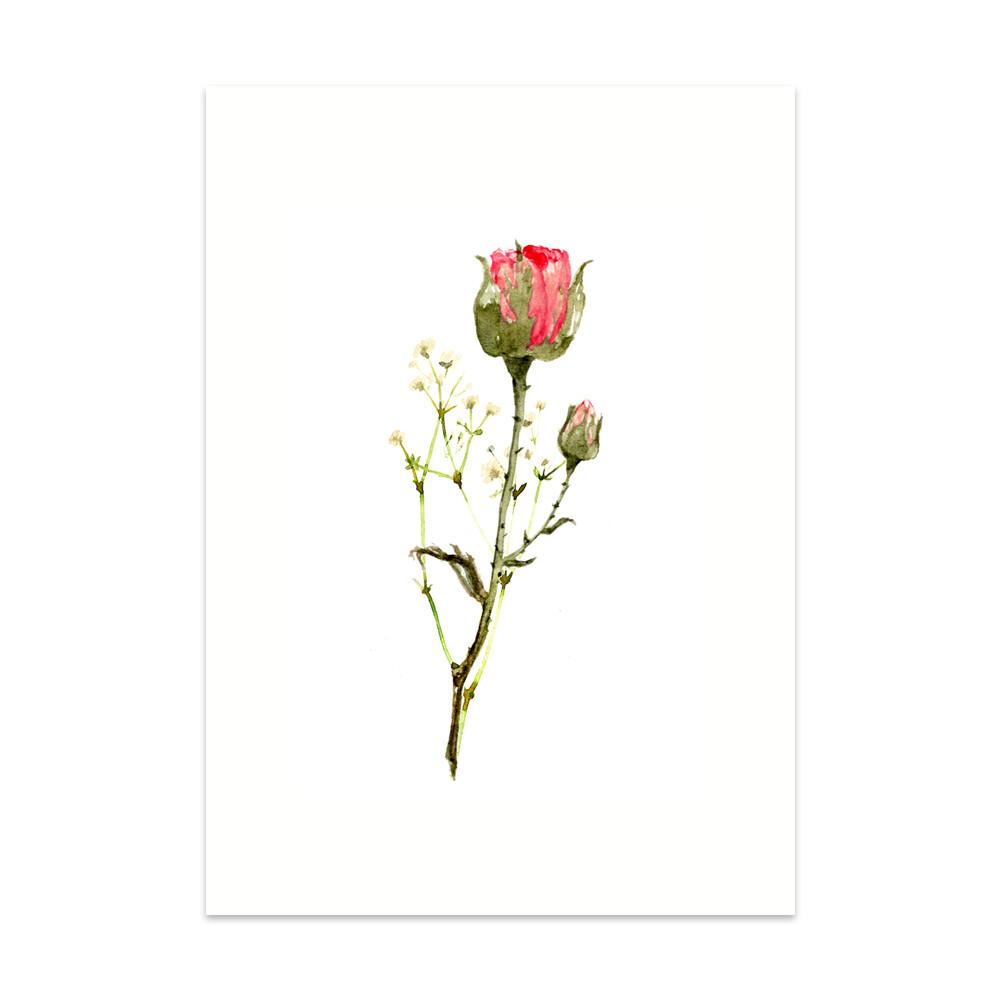 Caroline Vieira - Roos x Gypsophila-Kaart-DutchMills