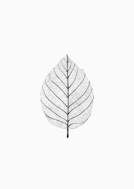 Blad skelet-Kaart-DutchMills