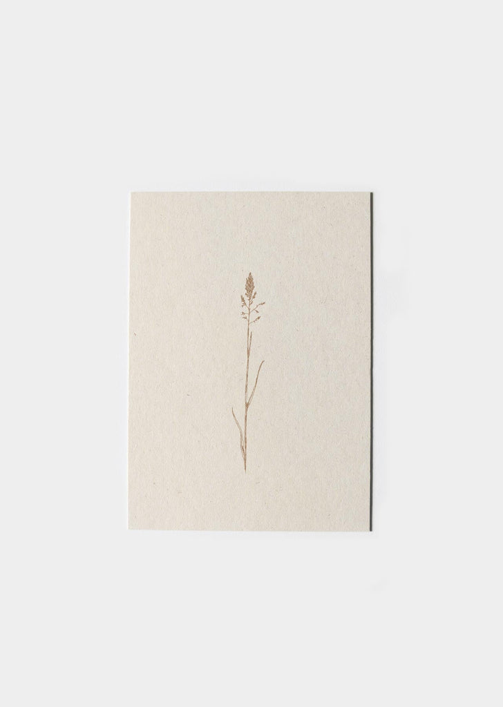 Inkylines - Kaart Grasje (beige)-Kaart-DutchMills