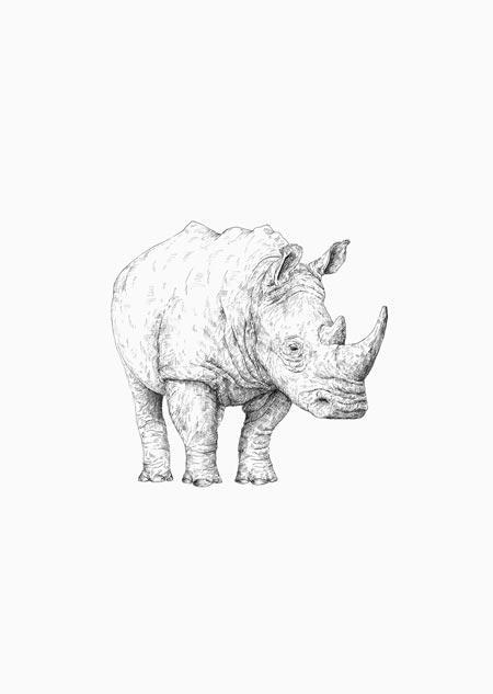 Inkylines - Neushoorn-Kaart-DutchMills