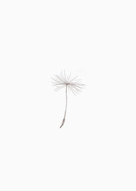 Paardenbloem pluisje (grijs)-Kaart-DutchMills