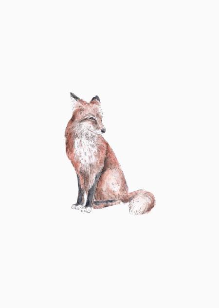 Inkylines - Rode vos (kleur)-Kaart-DutchMills