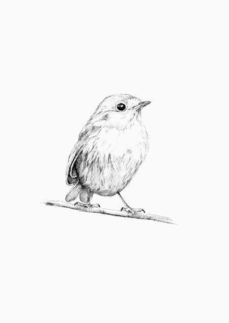 Inkylines - Roodborst-Kaart-DutchMills