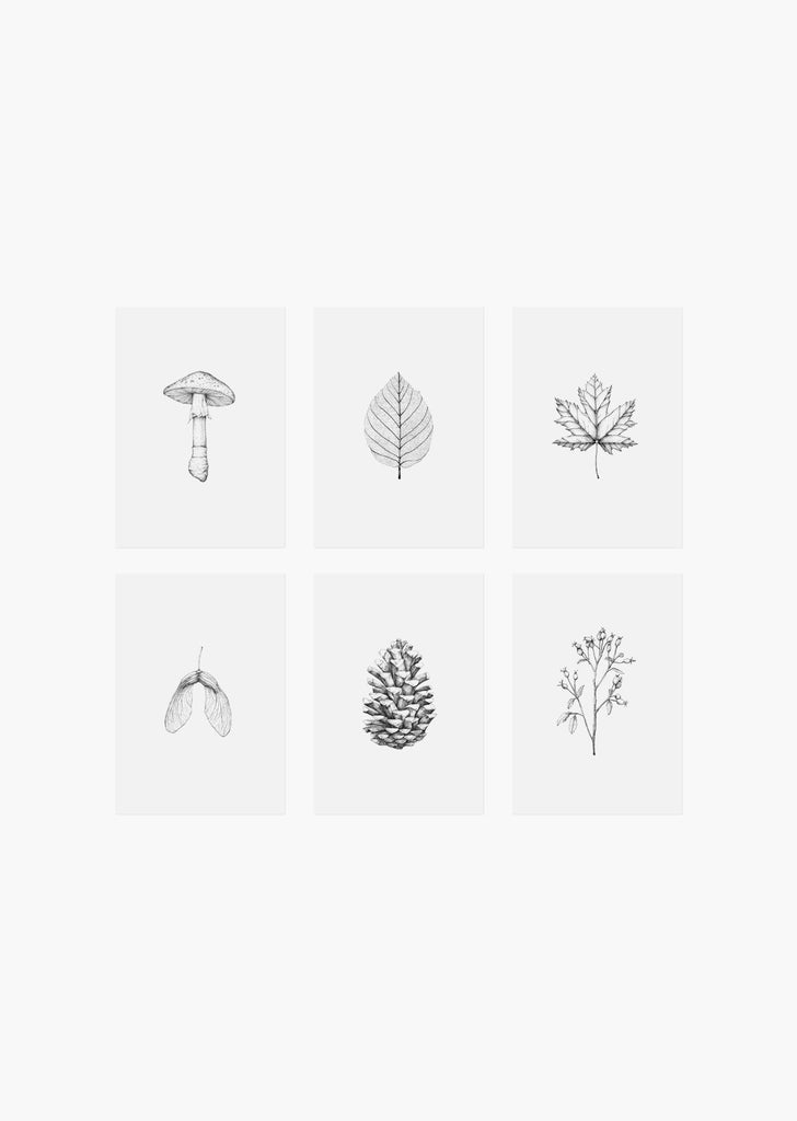 Inkylines - Herfst set van 6-Kaart-DutchMills