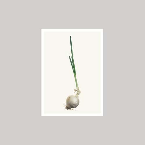 Matthijs Heins - Ui-Kaart-DutchMills