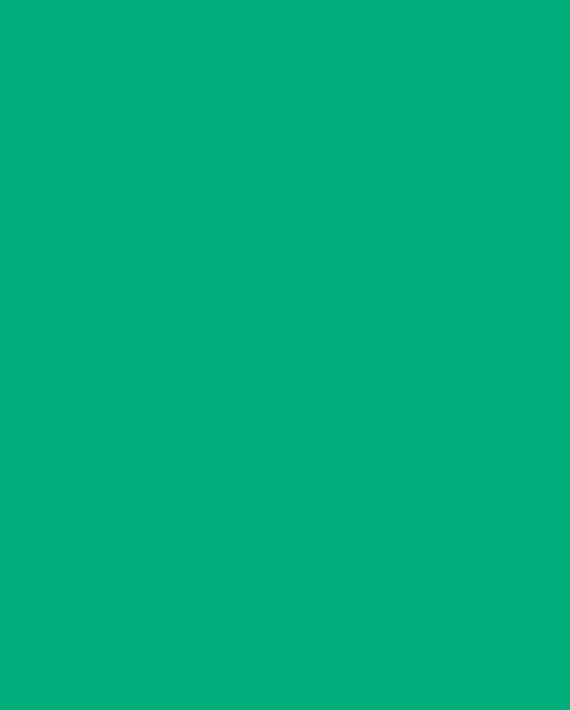 Nuuna notitieboek - Deamboat M - Emerald-Notitieboek-DutchMills