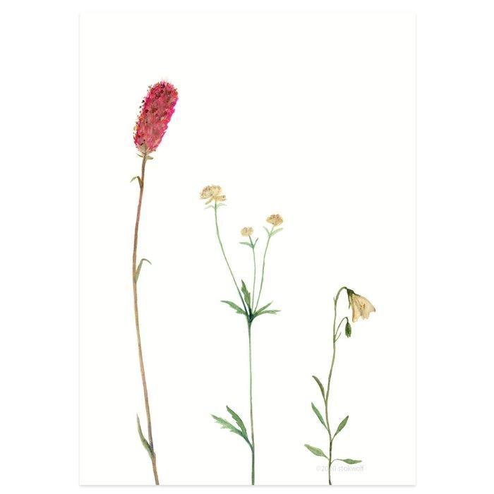 Stokwolf - Bergbloemen roze-Kaart-DutchMills